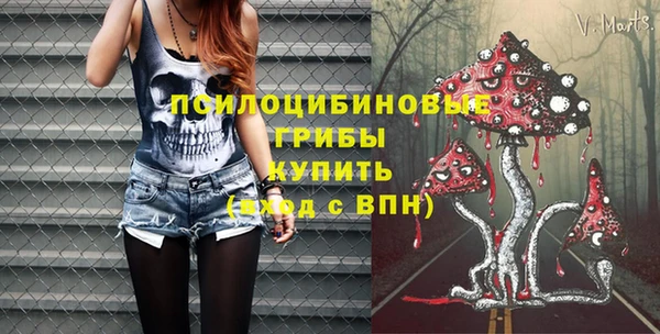 эйфоретик Богданович