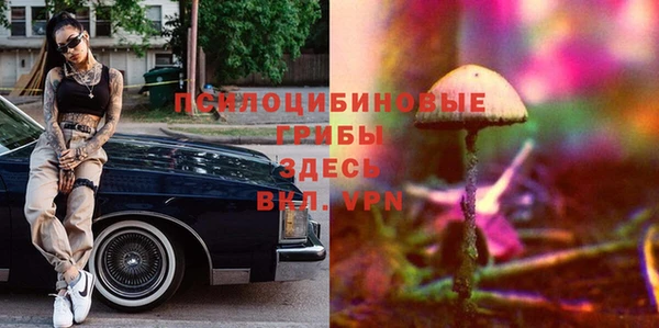 a pvp Богородицк