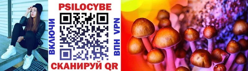 Галлюциногенные грибы Psilocybine cubensis  Пойковский 